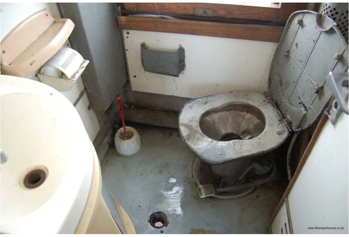 Ответ на пост «Перекличка мамонтов»