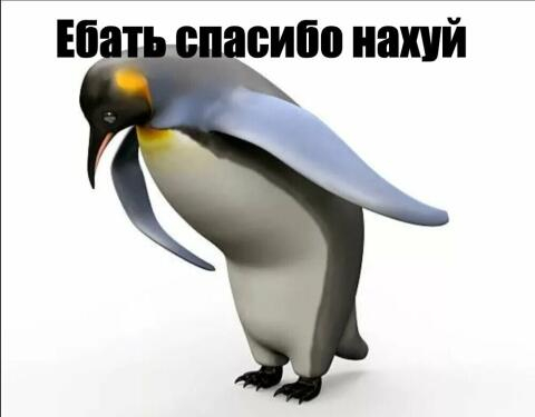 Россиян не будут наказывать за использование VPN, но если одобрило его РКН