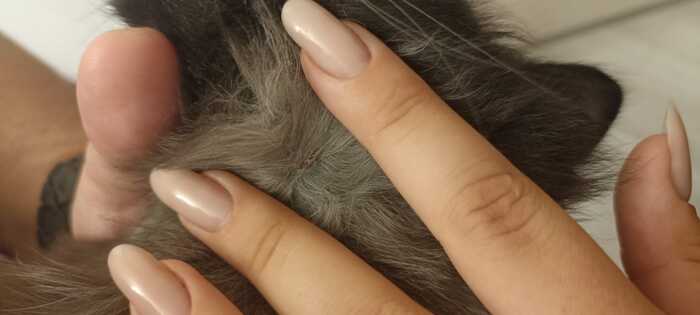 �������� ��� ������ ������, ������� �� �������������� ����� �������, ����� � ������������ ������ ��������, ��������� ����� � ������-�� �����