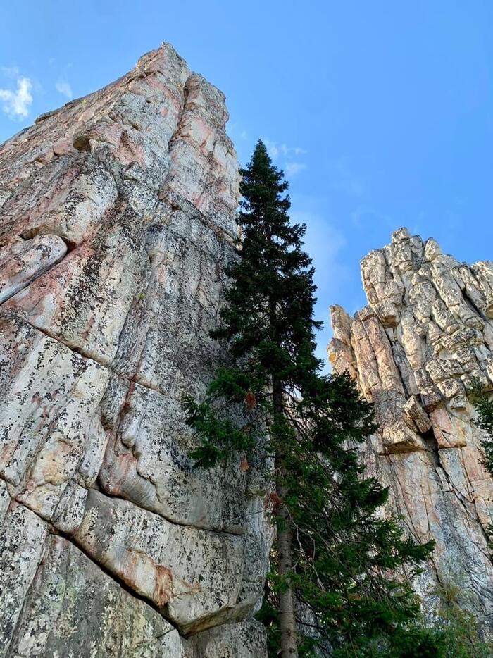 Инзерские зубчатки. Фото: Андрей Мудрей