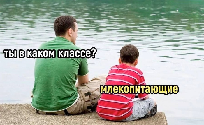    , , ,  ,   