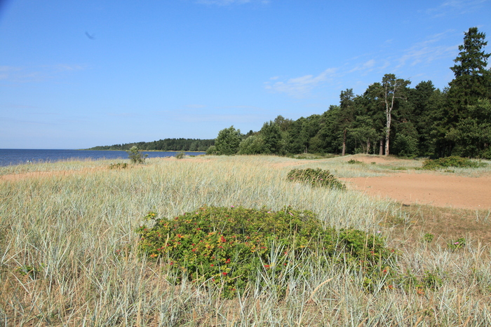 Фото В. Храмцова.