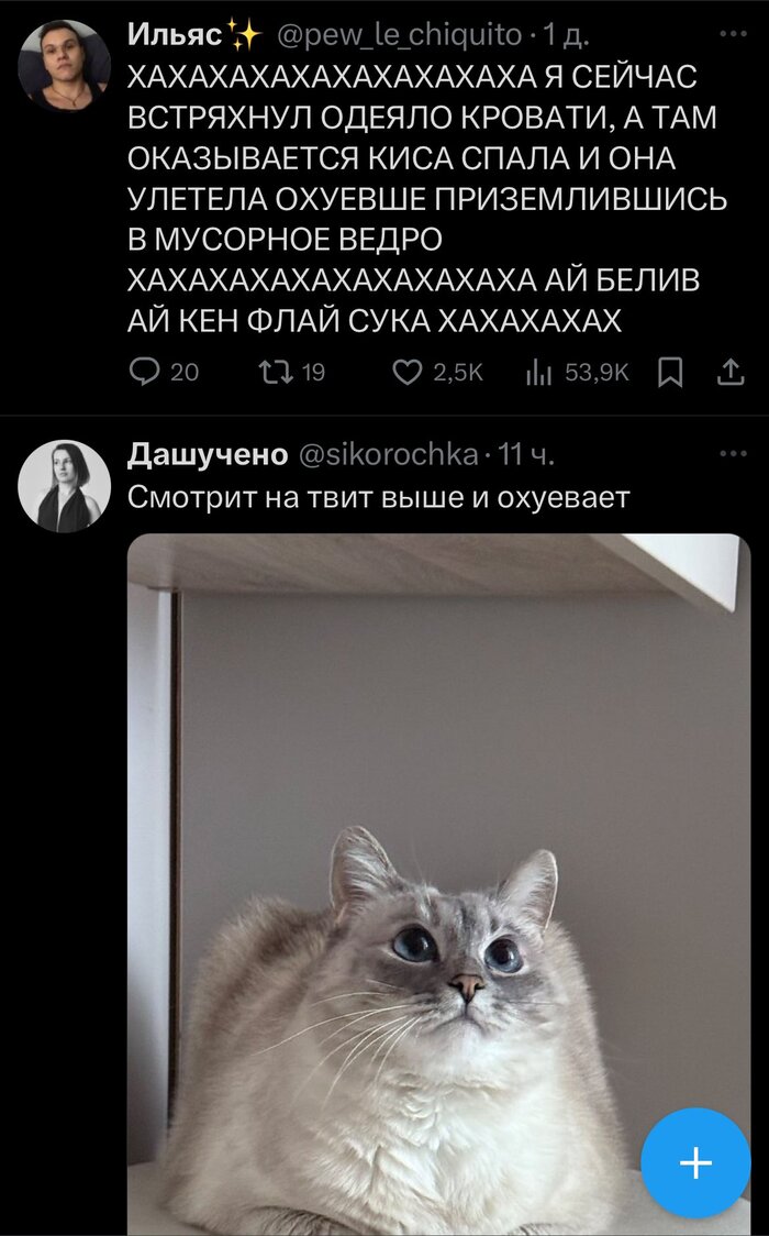 Ай белив ай кэн флай