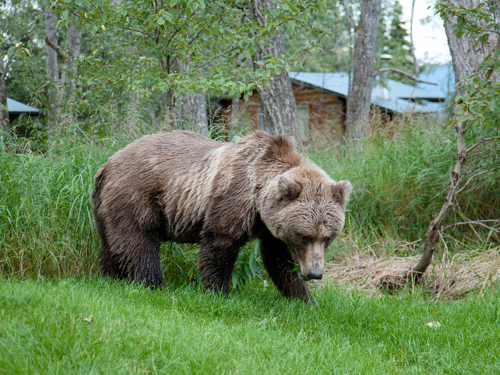     ,        30 /.     40-45 /,       50 /.