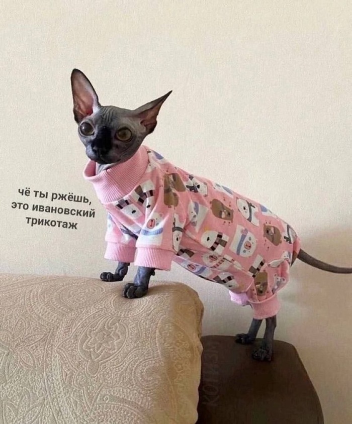    ,   , , , 