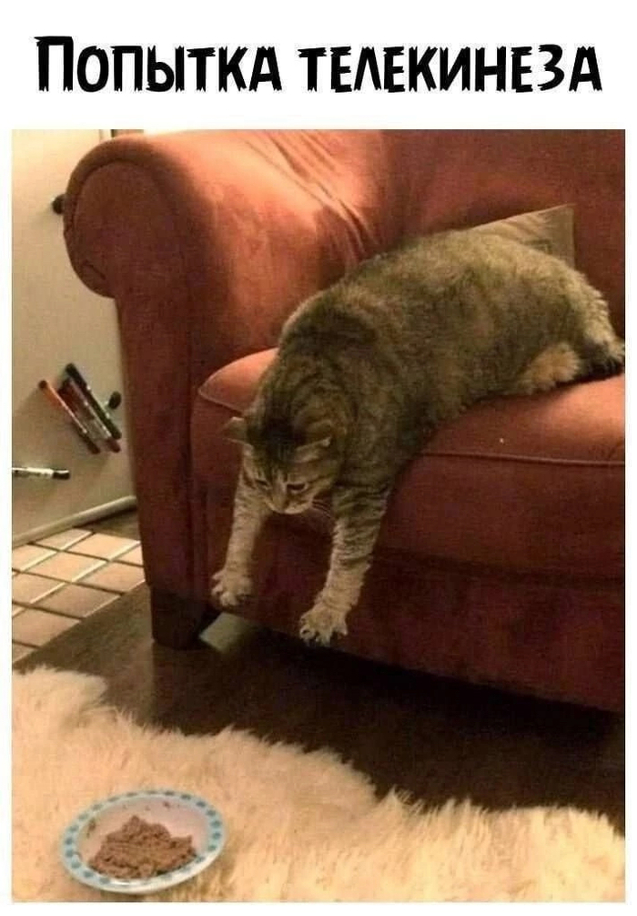     , , , ,  ,   ,  