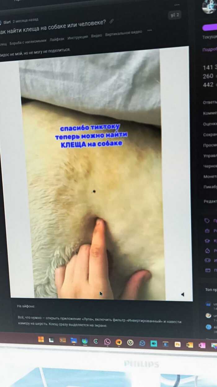          ? ,   , , , ,  ,  , , ,   