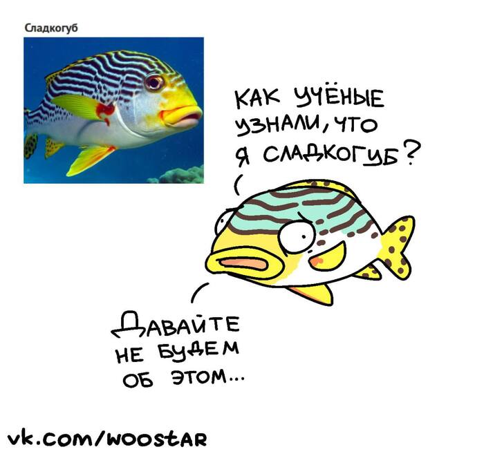   , , , Woostar, , 