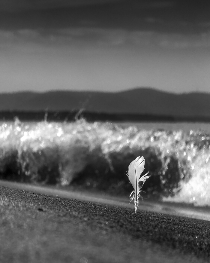       , , , , - ,  , , Lightroom mobile