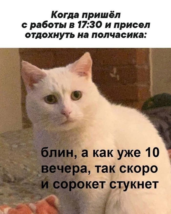  ,   , 