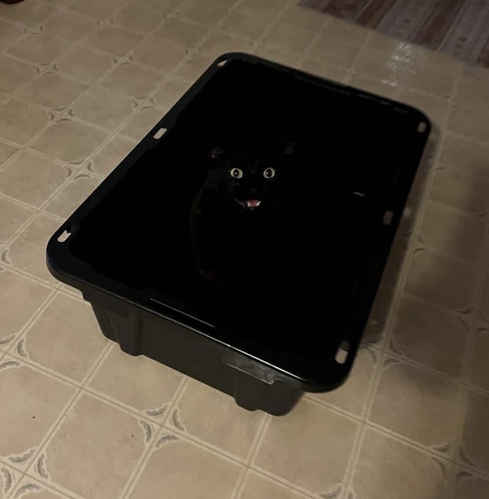 Улыбка с глазами