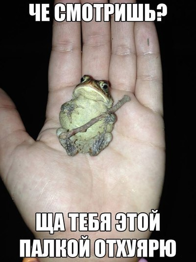 , ?