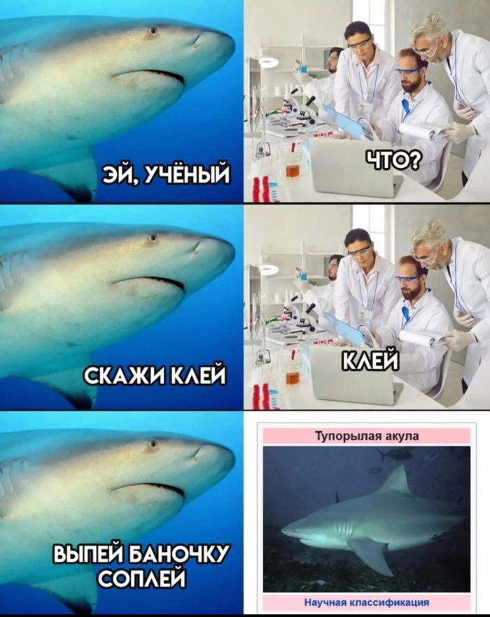     , 