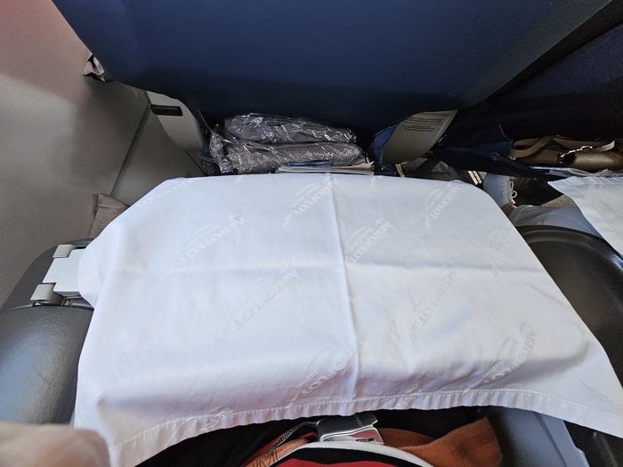 Стюардесса стелит