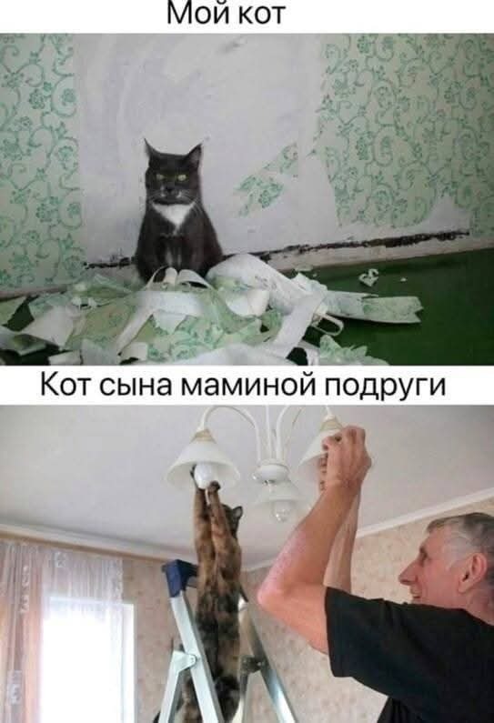    ,   ,   , , 