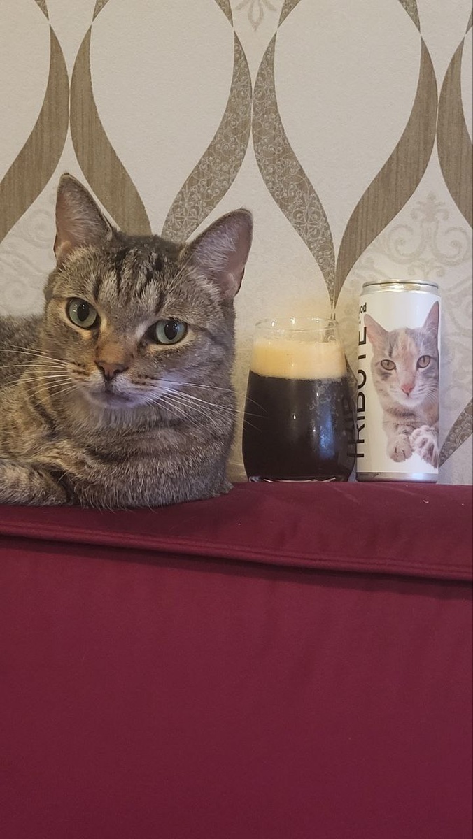 Tribute Zavod Brewery. Lord of the Board Midnight Project.       , , , , ,  , , 