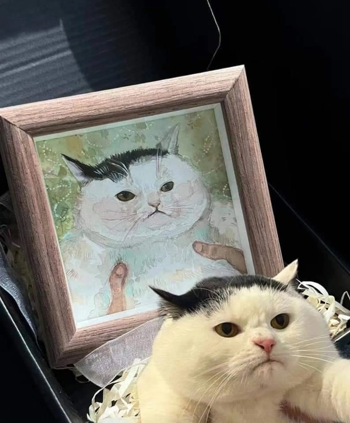    , *#% , , ,  