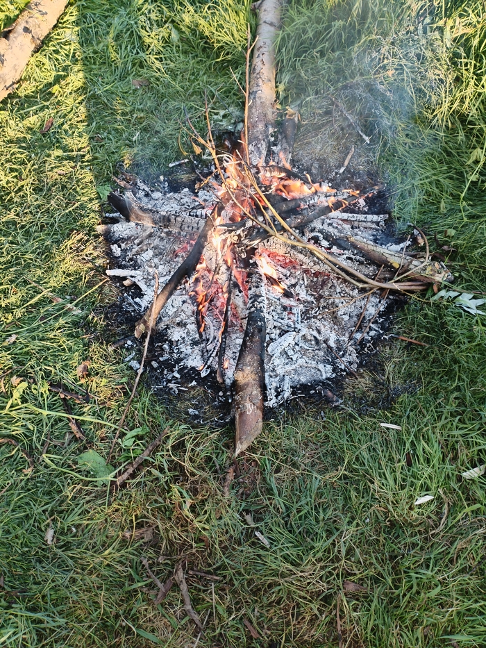 Костёр наш. Из ивы. Быстро горит, даёт много жару, но постоянно приходится подбрасывать дровишек.