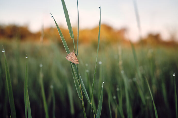 �������� ��������