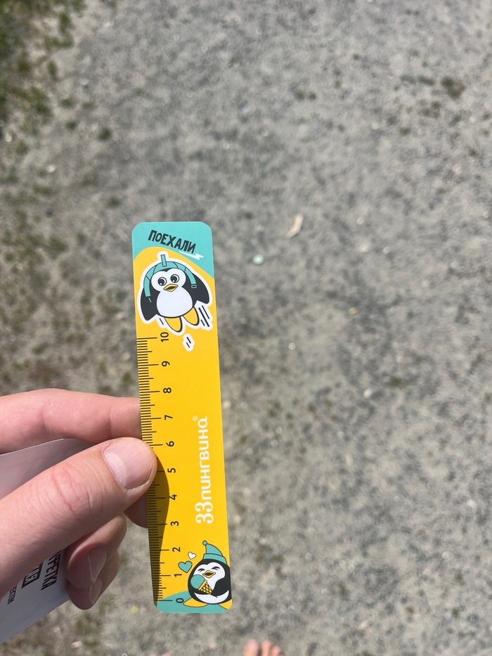 Настоящая линейка пикабушника