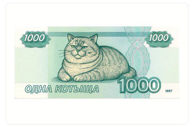 https://cs16.pikabu.ru/s/2025/07/19/18/xifsjqum.jpg