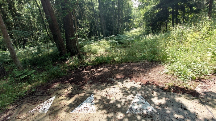 Покатушка на "Ашане" По Куршской косе