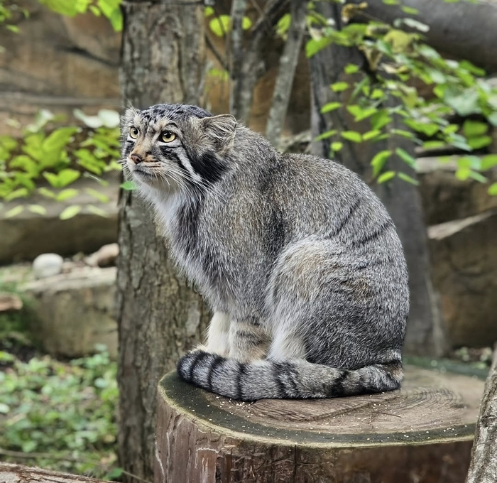 Где там кипер с завтраком...