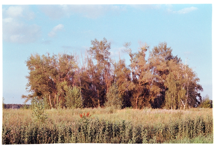 Canon Kiss, EF 50mm f/1.8