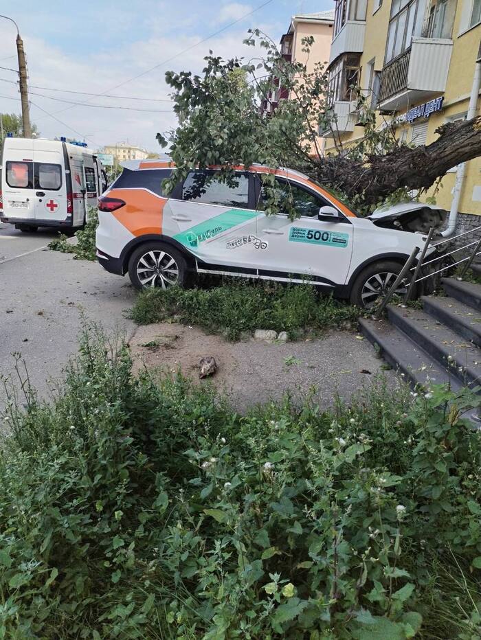         , , ,  , , ,  ,  , Telegram (), 