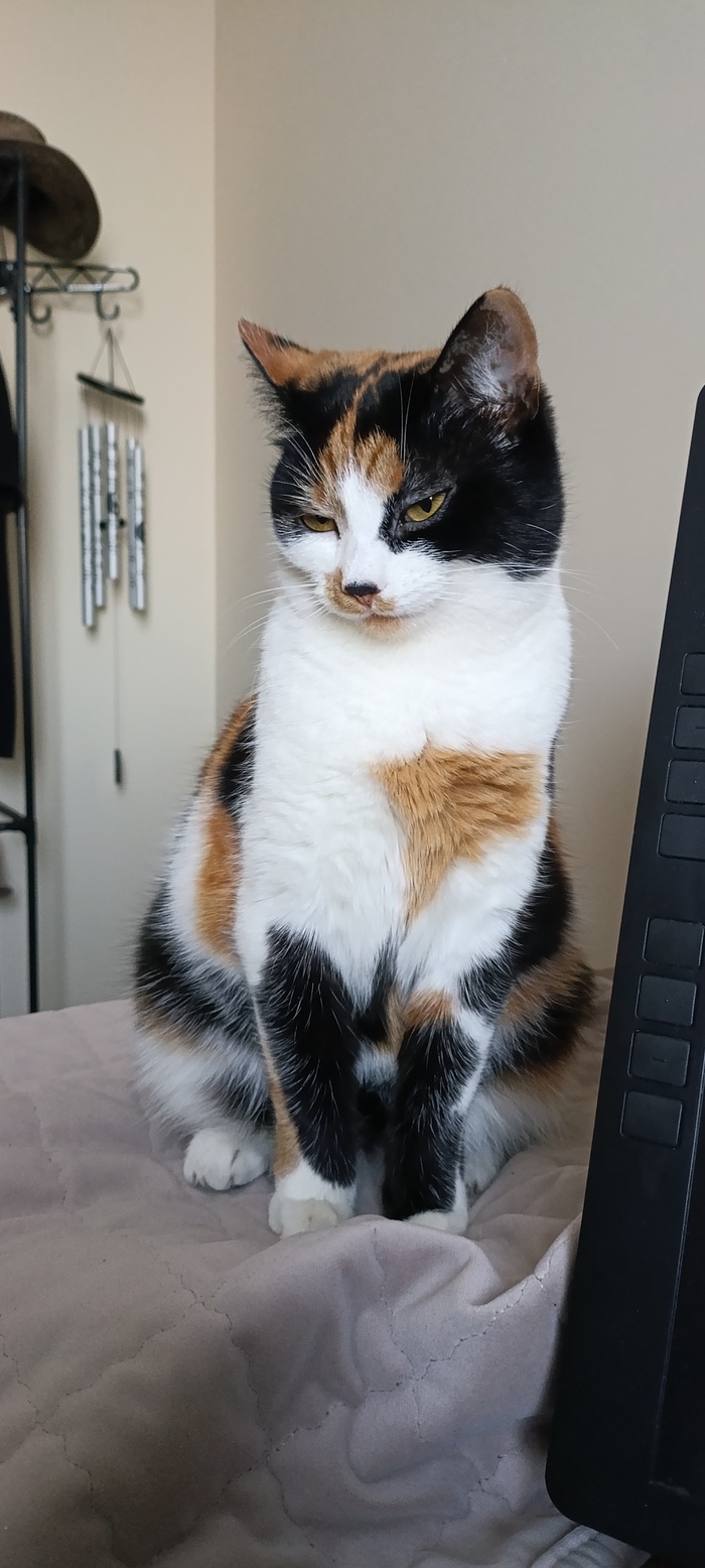      ... , , , , , 