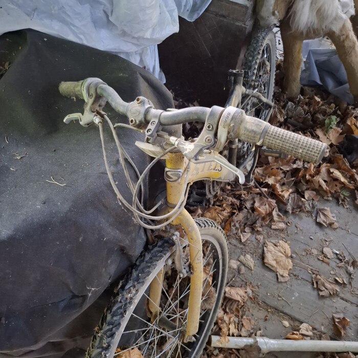 Велосипед сестры был ко мне чуть более милостив. Может, на самом деле за буквой S скрывается Stark?