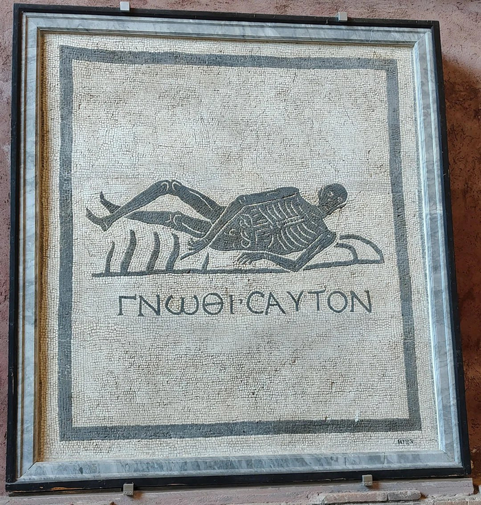 Мозаика с изображением скелета, указывающего на слова «Gnothi seauton», «Познай самого себя»