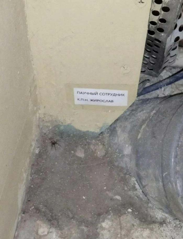 Офисный работник, пажилой павук, очень с*ка хмурый, но все к нему идут. Потому что самый опытный))0)