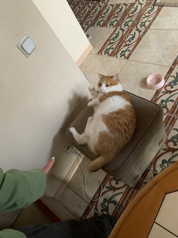   , , , , 
