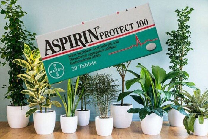 ������� ��� ������: ���� ������ ������ ���������