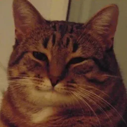 kernun