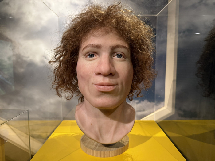     ,  800  , , 