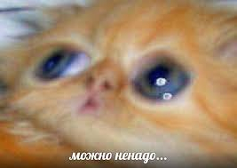        - ,  x     ,       , , 