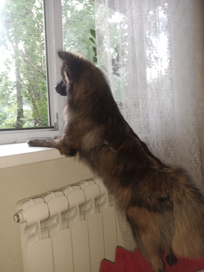    ,    ? , ,   , , , ,  , , , ,   , ,  