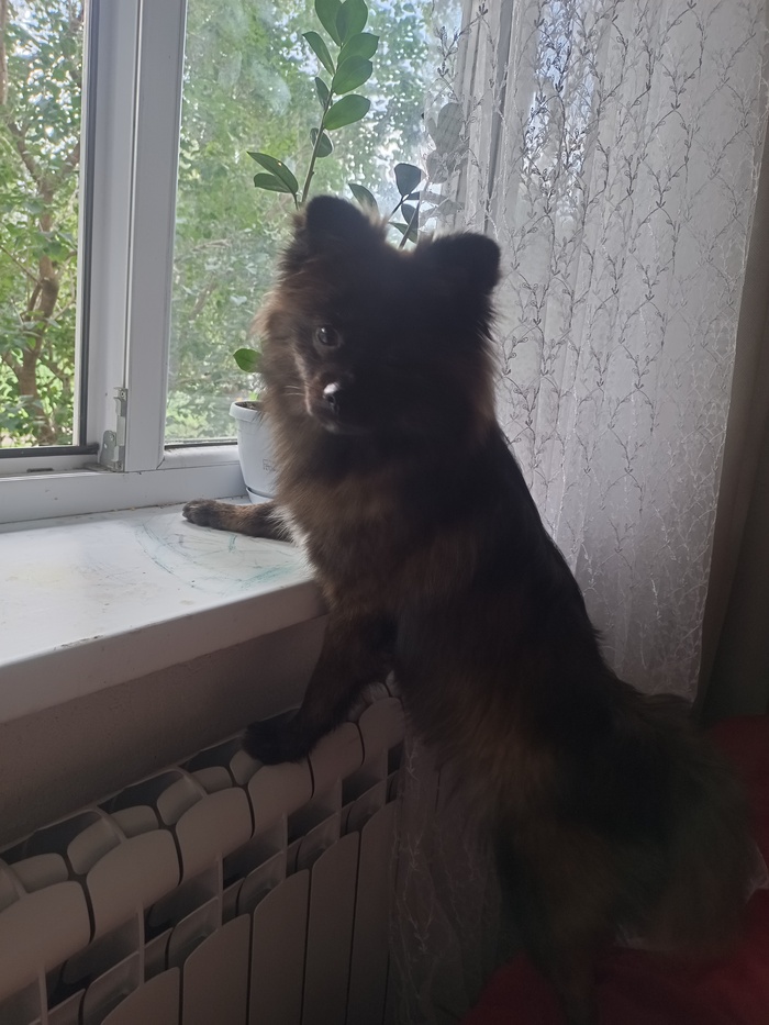    ,    ? , ,   , , , ,  , , , ,   , ,  