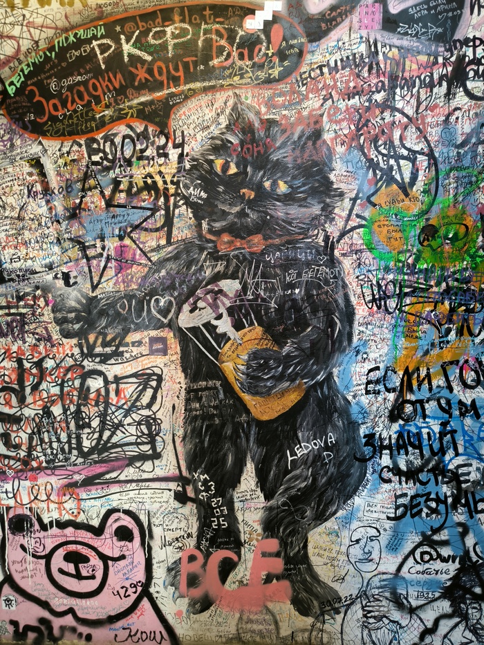 Новые надписи появляются постоянно, между фото с Бегемотом выше и этим — пара лет, тут кот уже весь покрыт автографами)