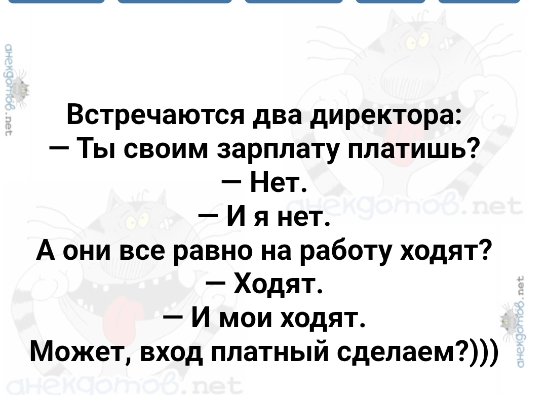 q25sjpk6_lg.jpg