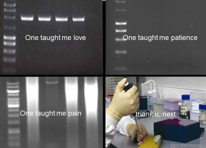   ,          CatScience, , , , , , , , 