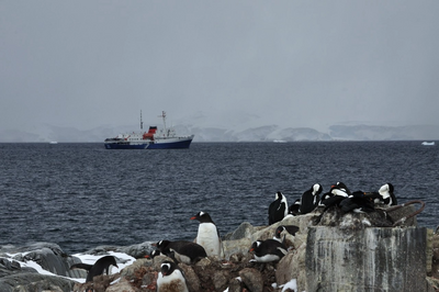 ����������� � �����������