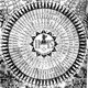 Аватар пользователя Shemhamforas