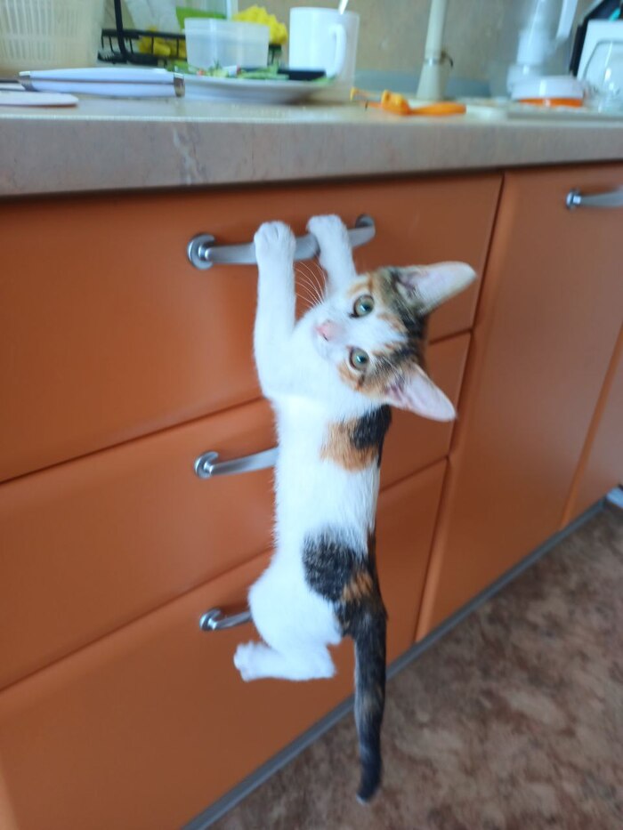 !      ? ,  , ,  ,  ,  , 
