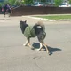 Аватар пользователя Evstafevand
