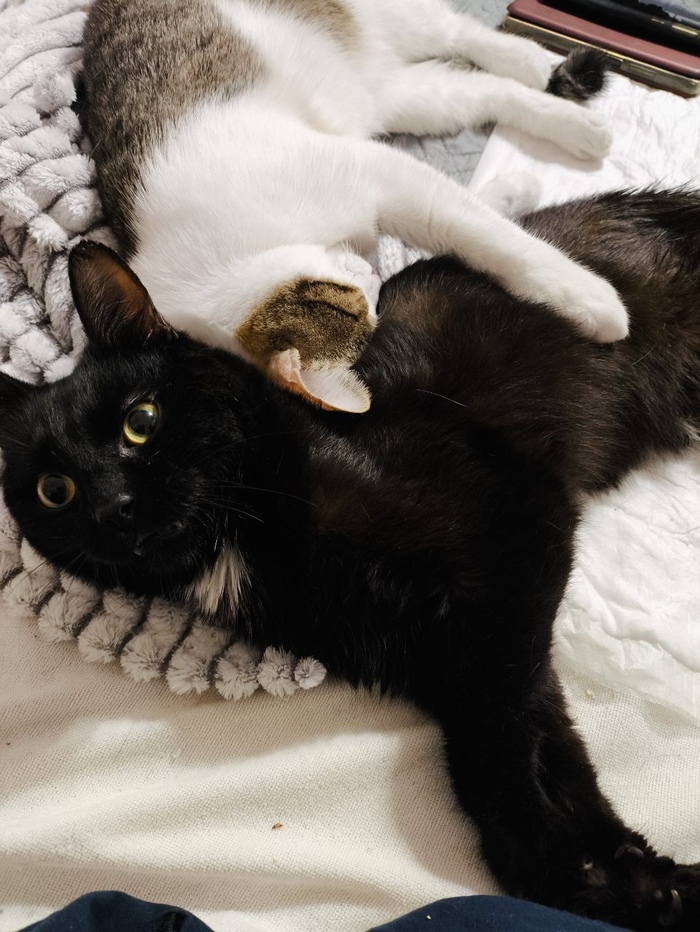 �������, ������� ����� �� ������ ���������, �� ���������� ������ �� ����