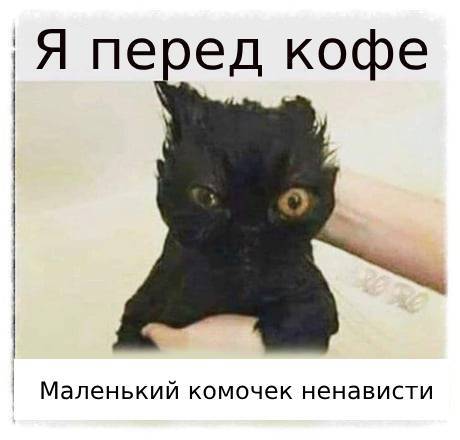   <a href="https://pikabu.ru/story/kofe_12993344?u=https%3A%2F%2Ft.me%2FFiranozavrMeme%2F1535&t=%D0%A4%D0%B8%D1%80%D0%B0%D0%BD%D0%BE%D0%B7%D0%B0%D0%B2%D1%80&h=6d8d85097c5c7a93ad9d1f0a88f24168a97f5966" title="https://t.me/FiranozavrMeme/1535" target="_blank" rel="nofollow noopener"></a>