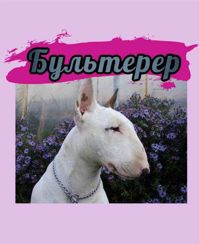 ,     :    , , 